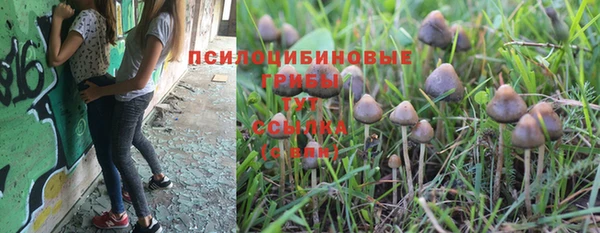 прущие грибы Алексин
