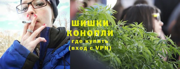стаф Алзамай