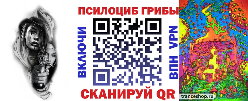 Галлюциногенные грибы Psilocybine cubensis  магазин продажи   Новороссийск 