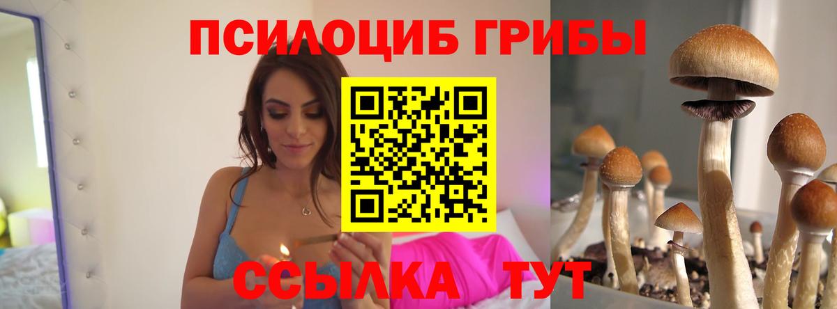 Галлюциногенные грибы Psilocybine cubensis  Вход с VPN  Новороссийск 
