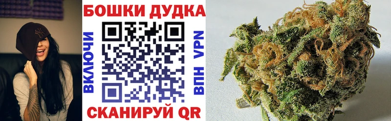 Бошки Шишки конопля  Новороссийск 